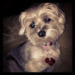 Meet your Posher, Ruth